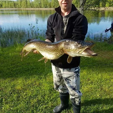 Holiday home Kaijonselaen Moekit Kaita *